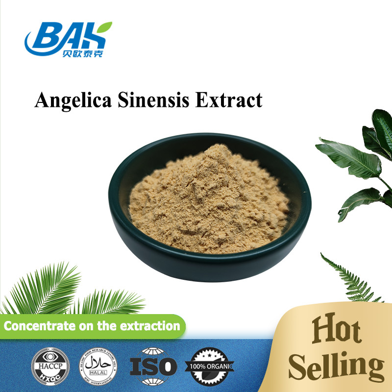 Fábrica profesional china Dang Gui Angelica Sinensis Dong Quai Extracto de raíz en polvo Angelica Dahurica Extracto