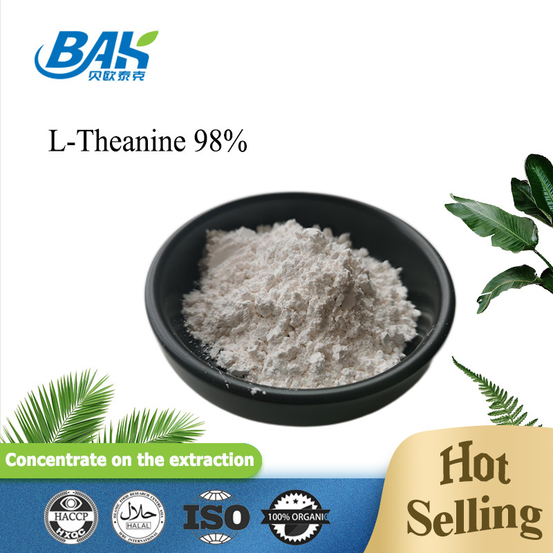 extracto herbario natural de la teanina el 98% del polvo del extracto del té verde 3081-61-6 para la dieta sana