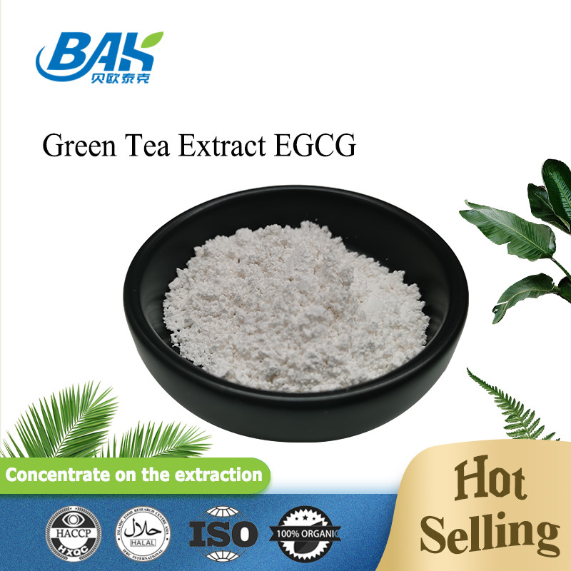 Extracto de té verde en granel EGCG CAS NO 989-51-5 Epigalocatequina galato 98% Polvo blanco