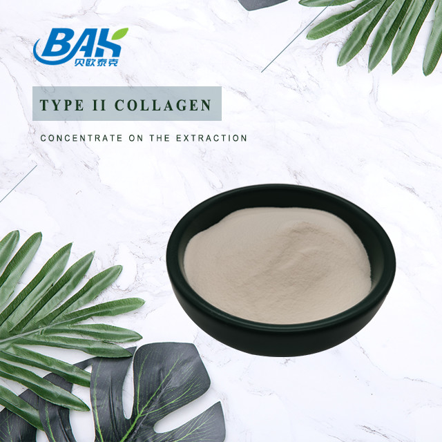 Polvo de proteína péptida 25% Extracto de cartílago Polvo de colágeno tipo II Calidad cosmética