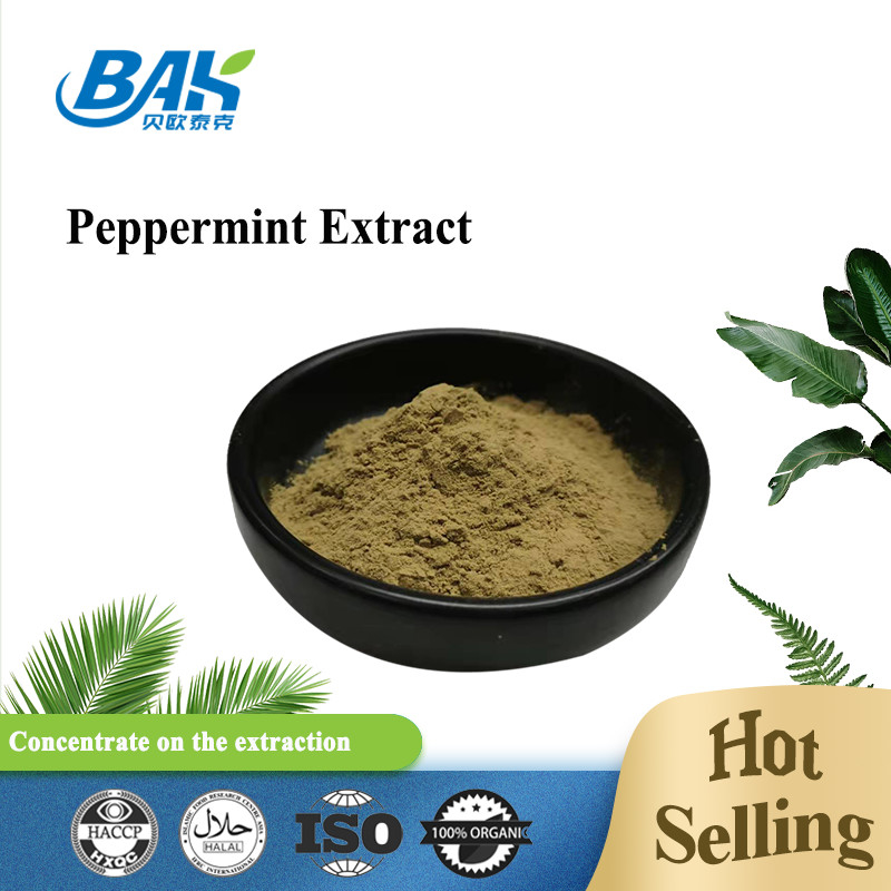 Fabrica al por mayor Extracto de menta pura Suplementos para mejorar la inmunidad Mentha Haplocalyx Briq Brown Powde