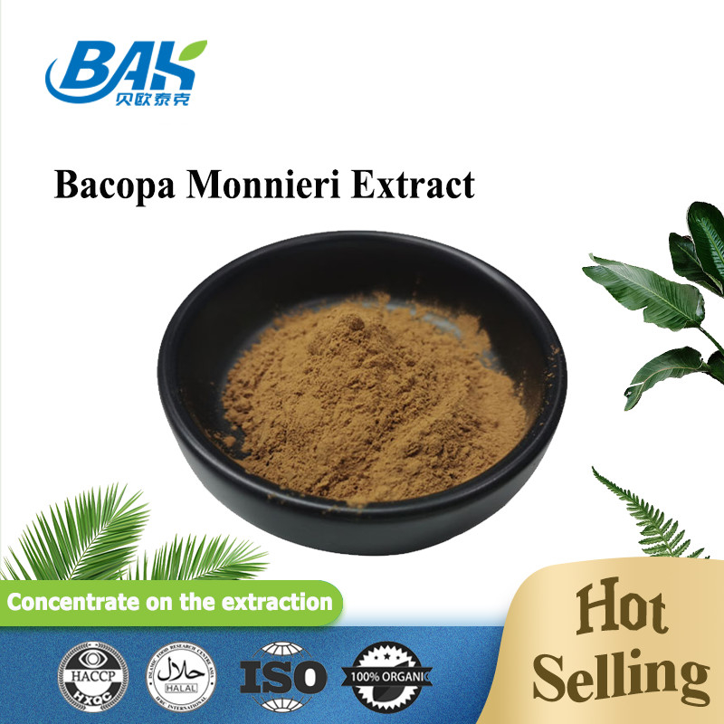 Venta caliente HPLC UV Bacopa Monnieri extracto de polvo amarillo marrón 100% Pasado 80 malla