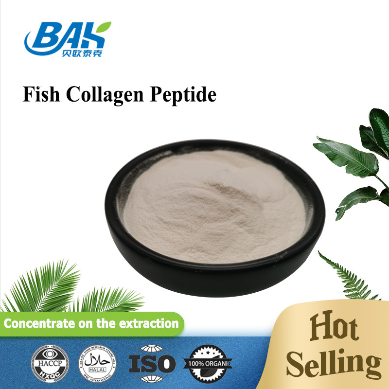 Péptido del colágeno de los pescados de la piel de la escala amarillo claro al polvo 100 de Brown malla 80 40
