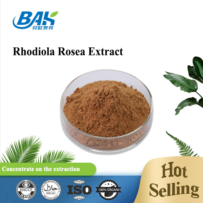 Suplemento de salud para hombre orgánico Rosavin 1% -10% Rhodiola Rosea L Extracto de polvo marrón rojizo