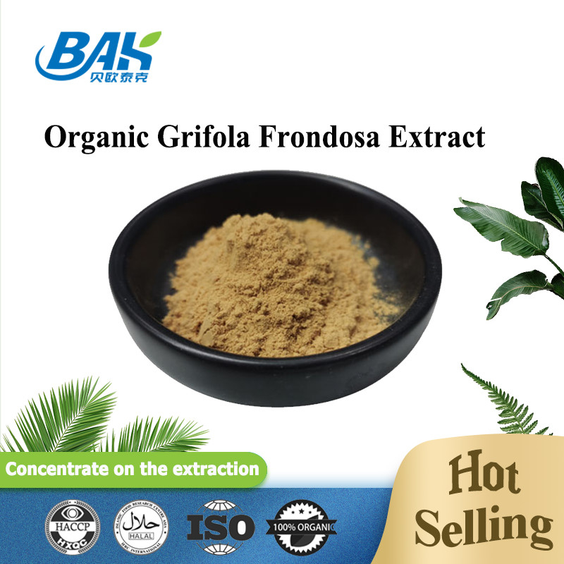 Extracto de Grifola Frondosa orgánico Beta glucano 70% extracto de hongo Suplemento de VIS UV en polvo