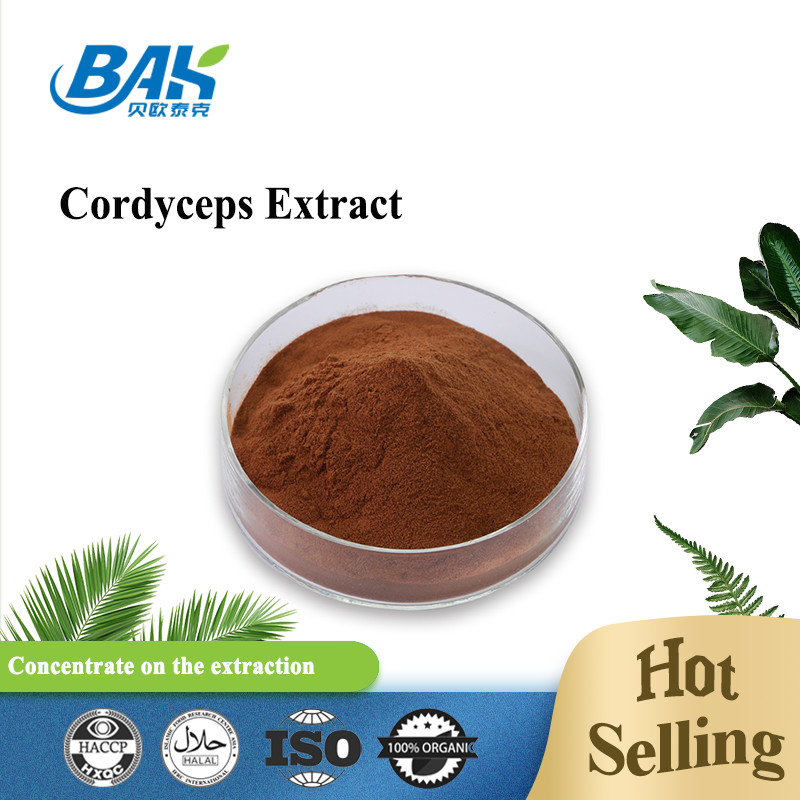 El suplemento el 20% para hombre Cordyceps de la salud de Cordycepin el 5% el 10% extrae el polvo de Brown