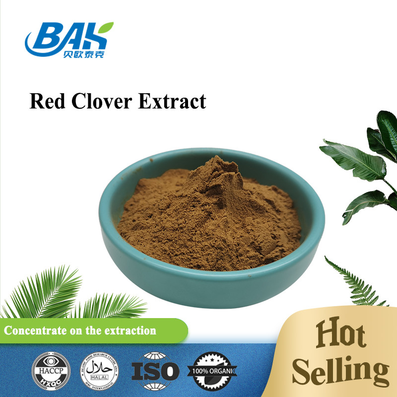 Color para mujer de Brown oscuro del extracto del trébol rojo del suplemento de la salud de los isoflavonas